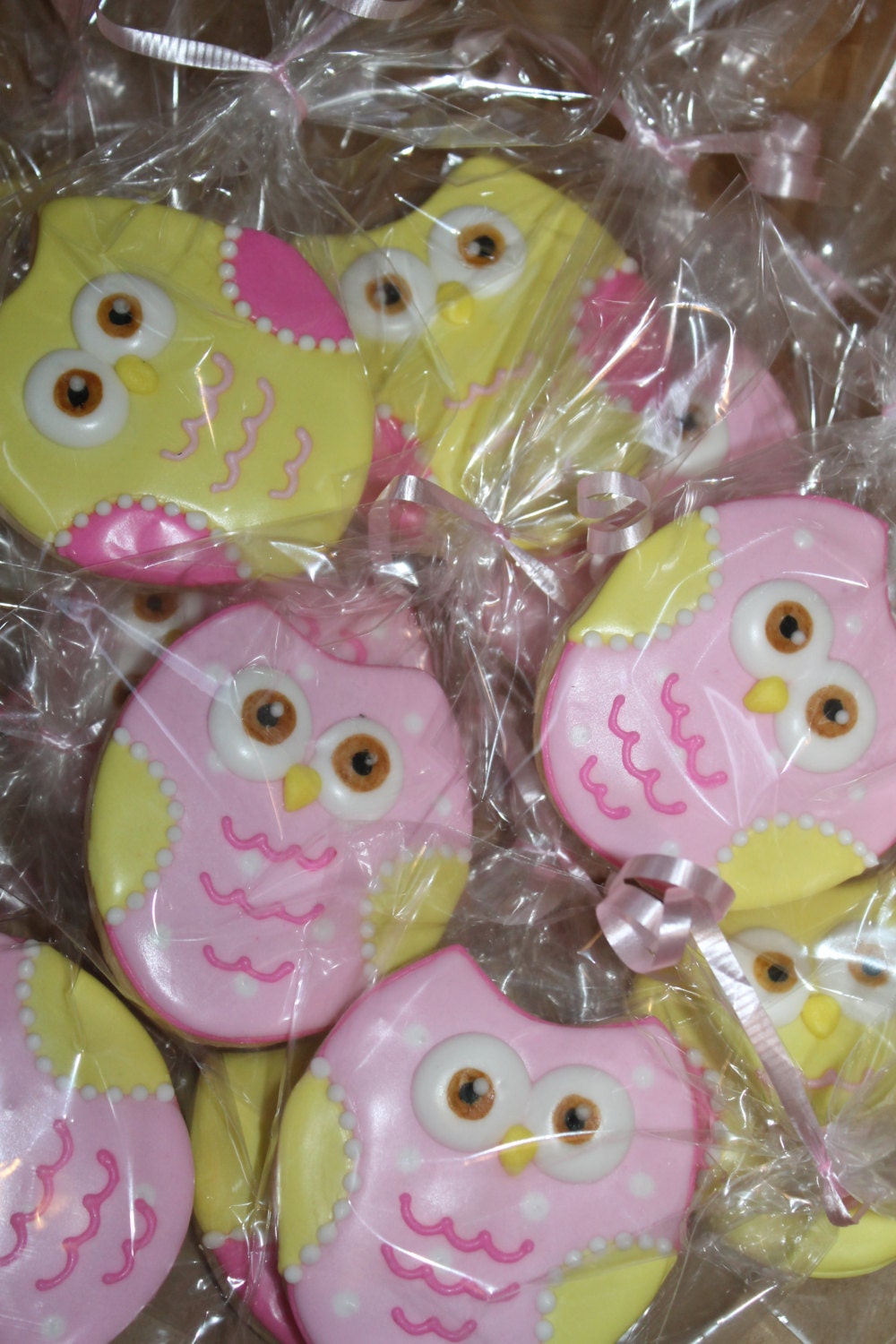 Owl cookies One Dozen (12) - Ladybug bake shop