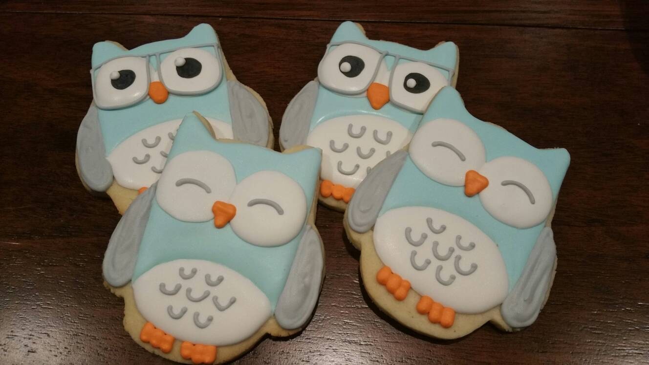 Owl cookies One Dozen (12) - Ladybug bake shop