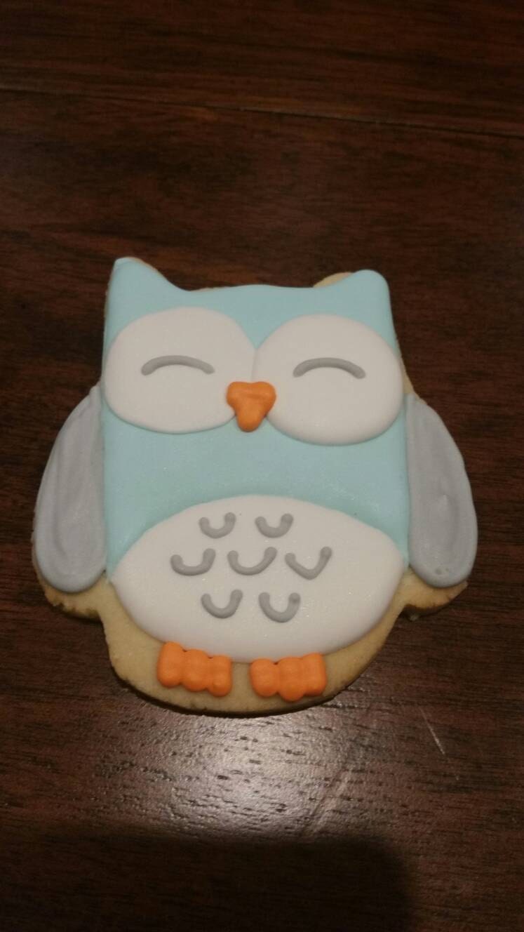 Owl cookies One Dozen (12) - Ladybug bake shop