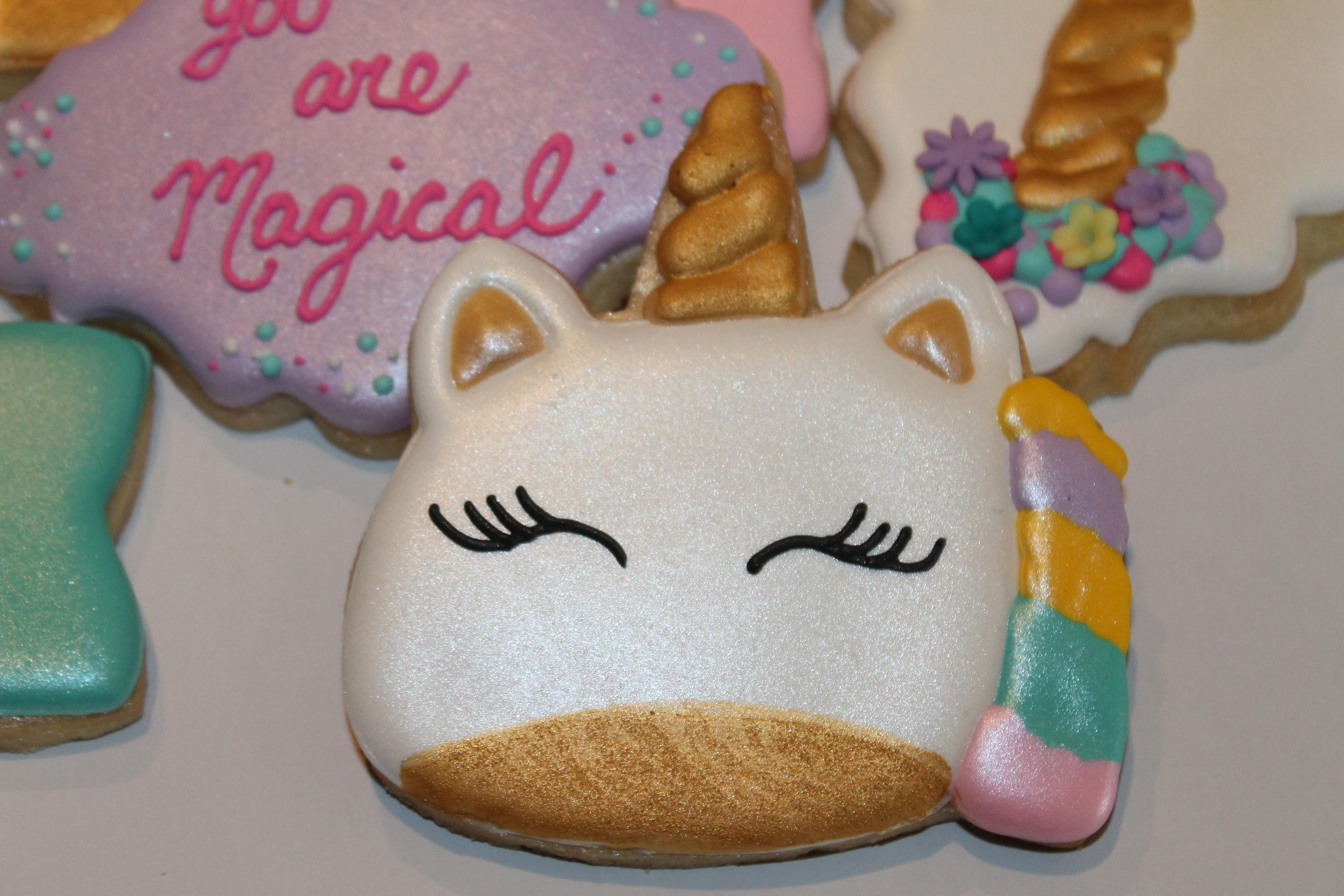 Unicorn sold cookies 12(12)