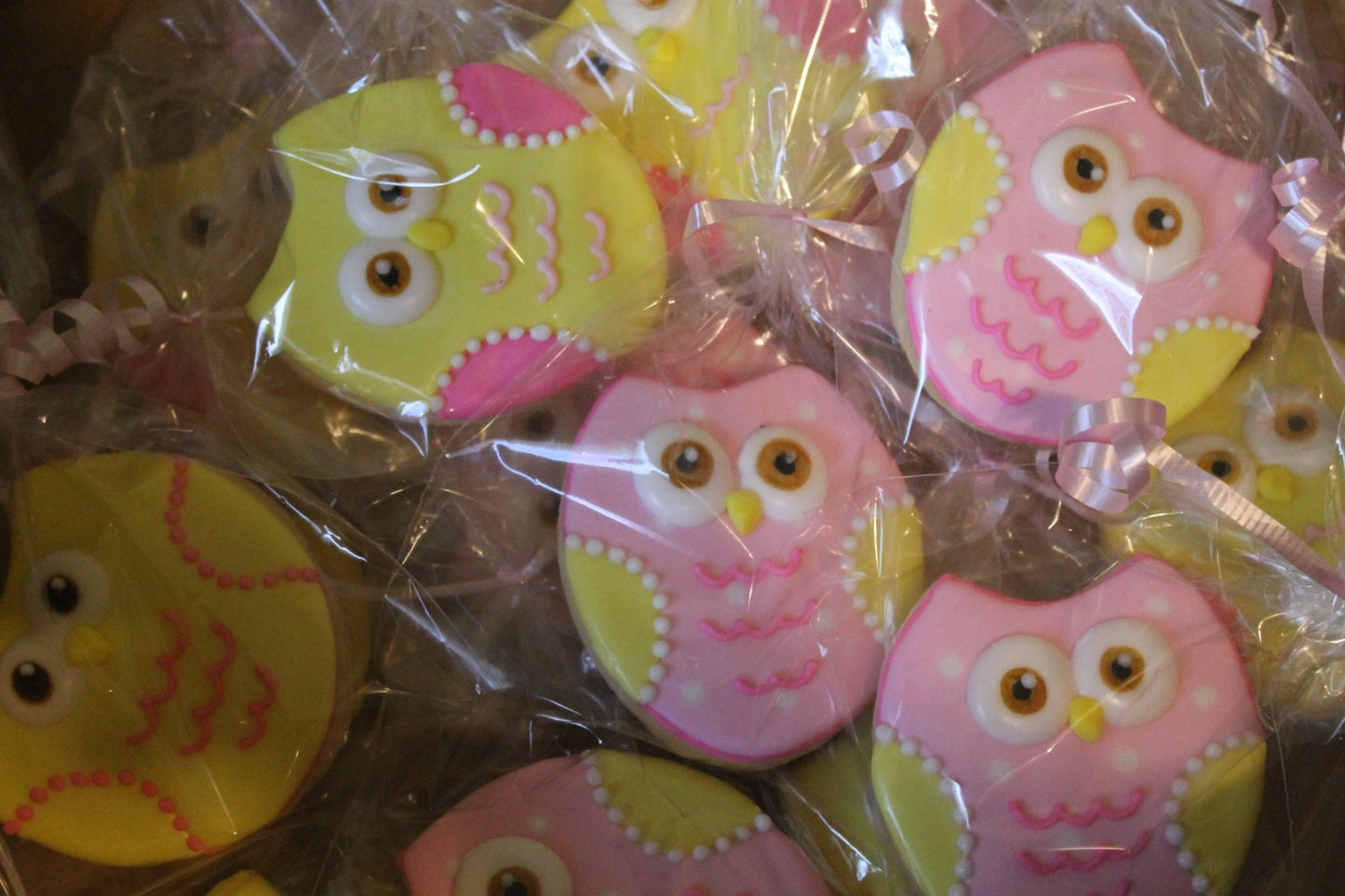 Owl cookies  One Dozen (12) - Ladybug bake shop